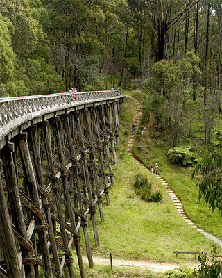 Noojee Trestle Bridge