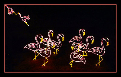 Christmas Flamingos