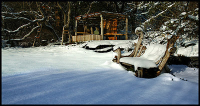 Driftwood and Ice