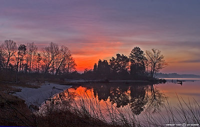 Red Reflections