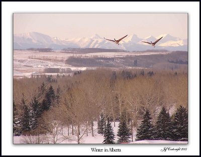 Winter in Alberta