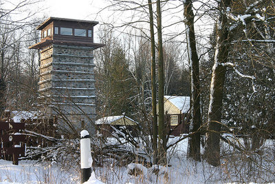 Penthouse in the woods