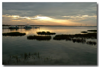 Marsh