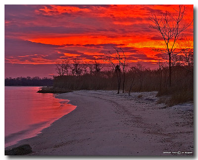 A Reddish Shade Of Purple