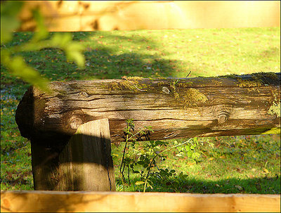 Framed Log