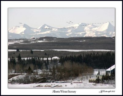 Alberta Winter Scenery