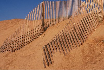 OBX sand fence