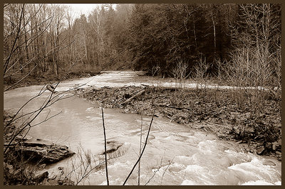 Barren Winter Creek