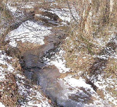 winter stream