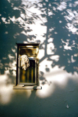 Window