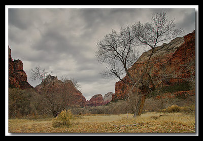 Zion National Park Utah