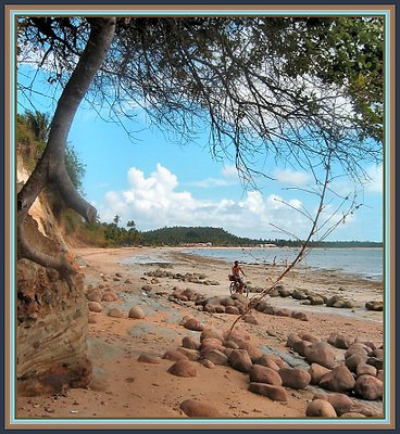 Cyclist  on Beach