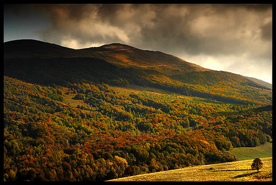 BieSzczady