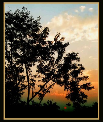At the horizon