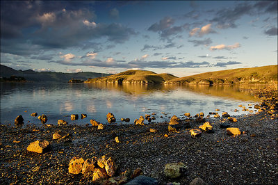 Otago Harbour