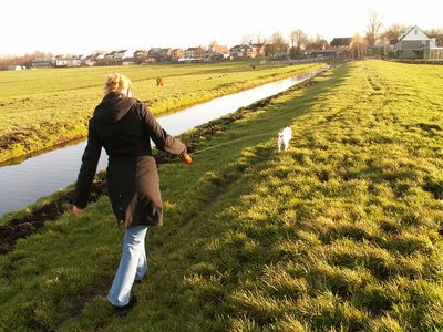 Dania en Semmy , Zustersdijk Westeinderpolder