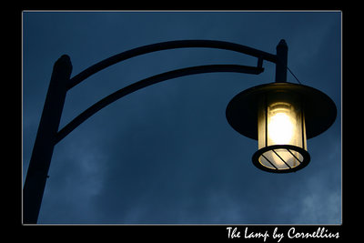 The Lamp