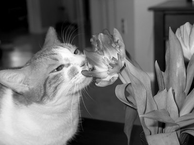 Take time to smell the flowers