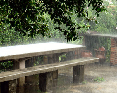 Tropical Rain (2)
