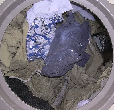 Inside the dryer