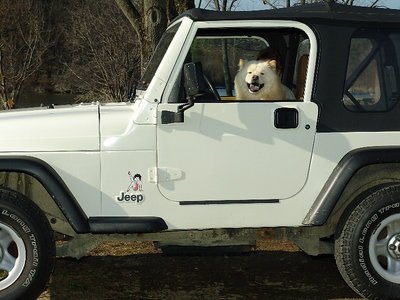 Jeep Hot Dogger