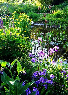 Strathcona pond