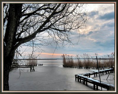 Peace in winter