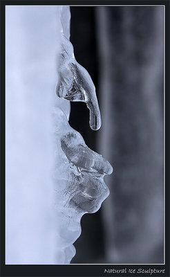 Natural Ice Sculpture