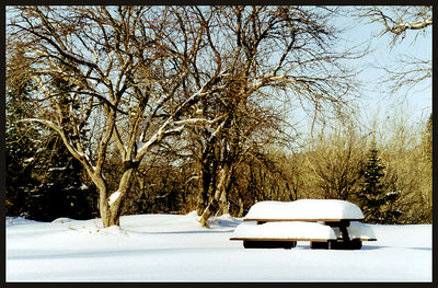 Waiting for Spring