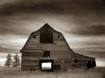 Prairie Solitude #6