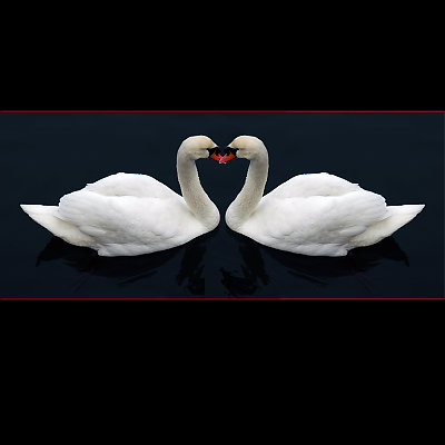 Eternal Love