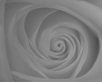 Soft Spiral