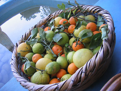 Delicious Cyprus Fruits 