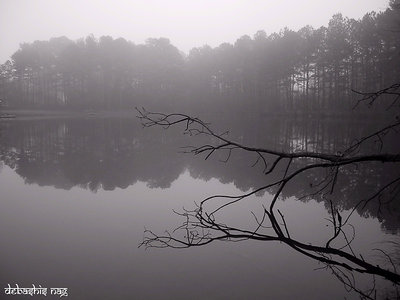 The Lake Behind the House