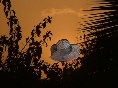 Hat in sunset