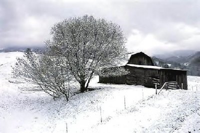 Country Winter