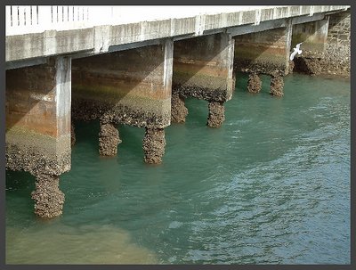 Low tide.