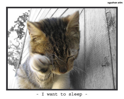 -I want to sleep- 