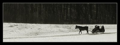 Sleigh