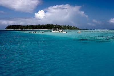 Divers Down - Moorea