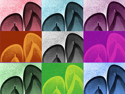 coloured pair of havaianas