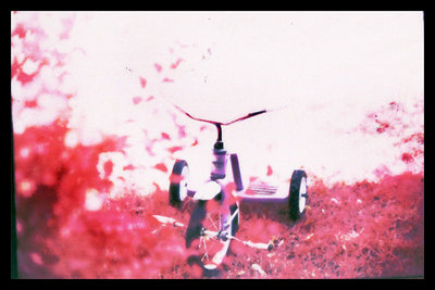 My brother's ride - Color Infrared