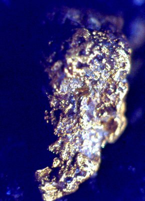 GOLD NUGGET