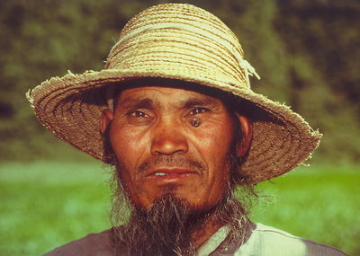 chinese farmer