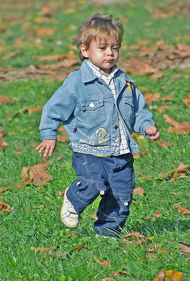 Per Gino...Il broncio in blu