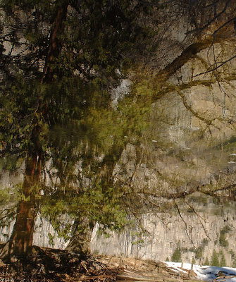 Merced River Reflection