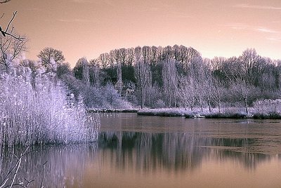 Frozen Lake (IR)