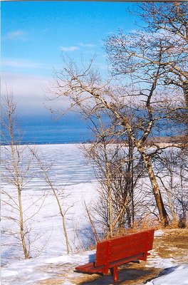 Bench with a view