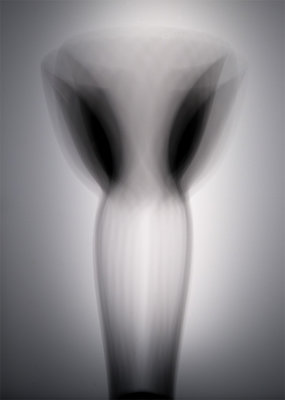 Illusory Vase