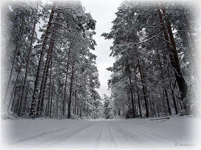 Winter road